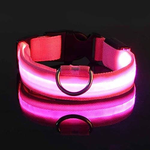 Collar con Luz Led para Perro - Recargable por USB - Collar Perro para Noche - Reflectante - con Anilla Metálica - Rosa, L