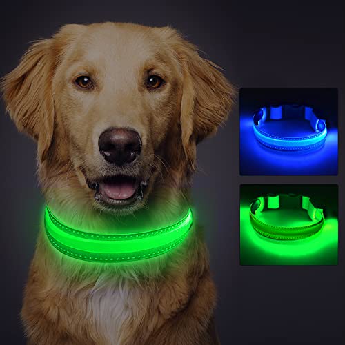 Idota Collar de perro LED recargable USB luminoso para perro 42-62 cm ajustable con 3 modos de iluminación Collar impermeable para perros medianos grandes - Azul