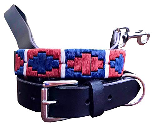 CARLOS DIAZ Collar de Perro Premium Bordado y Encerado Estilo Polo de Cuero Genuino + Correa Que Combina M