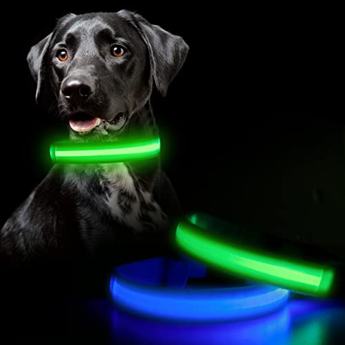 Livired 2Piezas Collar Luminoso Perro, Collar Led Perro Recargable con 3 Modos de Iluminación para Perros y Gatos (Verde & Azul) - M