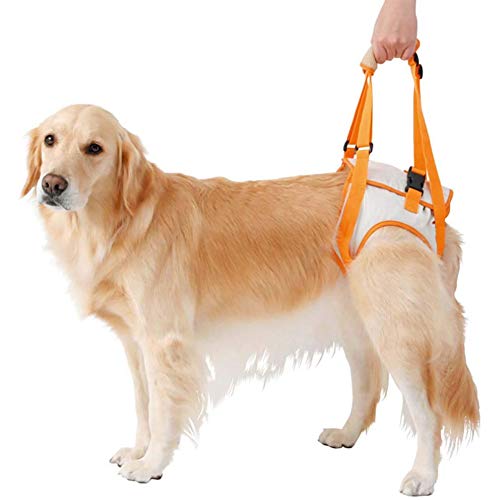 Wgwioo Arnés De Elevación para Perros, Asistencia para Caminar para Perros, Soporte De Eslingas De Rehabilitación, Alternativa A La Silla De Ruedas para Perros (Solo Patas Traseras),Naranja,3XL