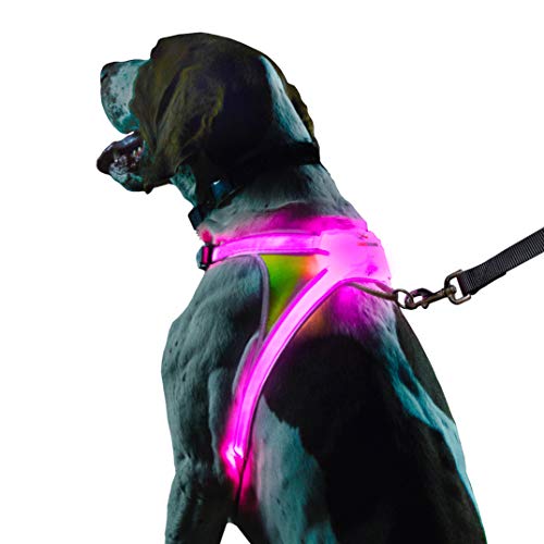 Noxgear LightHound - Arnés reflectante para perro con iluminación LED multicolor (tamaño mediano)