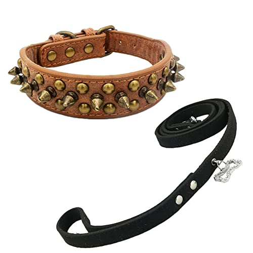 Newtensina Retro Bronce Tachonado Perro Collar y Correa Perrito Collar con Remaches para Pequeño Perros