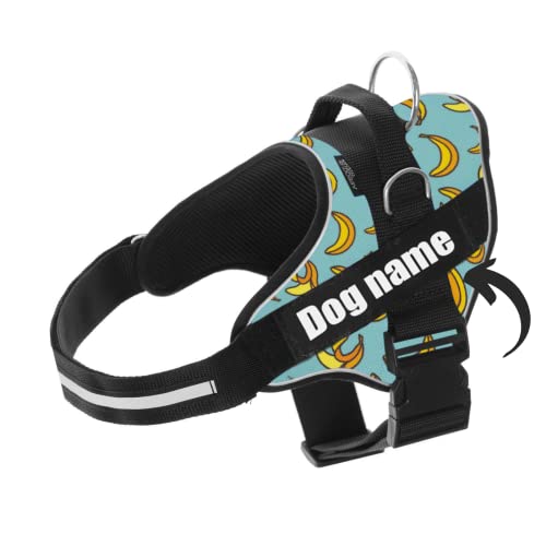 Arnes Personalizado para Perros - Tamaño Pequeño, Mediano y Grande - Incluye 2 Etiquetas con Nombre - Pechera para Perros Reflectante y Seguro - De Calidad y Resistente (XXS 1,5-3,5KG, Blue Banana)