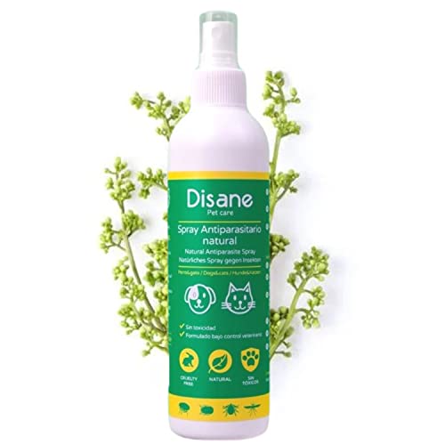 DISANE Spray Antiparasitario para Perros Natural |250 ml| Protección Antipulgas | Repelente de Insectos y Parásitos: Pulgas, Garrapatas y Mosquitos (Leishmaniasis)| Sin Toxicidad para el Perro