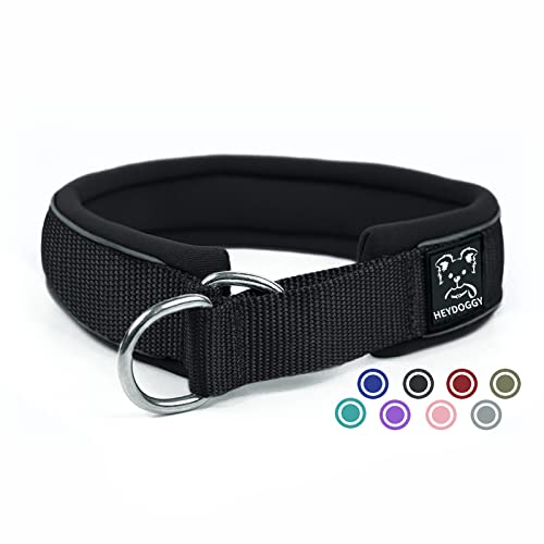 Collar de Perro Antitirones, Robusto Nylon Collar de Adiestramiento con Acolchado Suave & Tira Reflectante, Martingale Collar Estrangulador Seguridad Antitracción para Cachorro Pequeño Mediano Grande