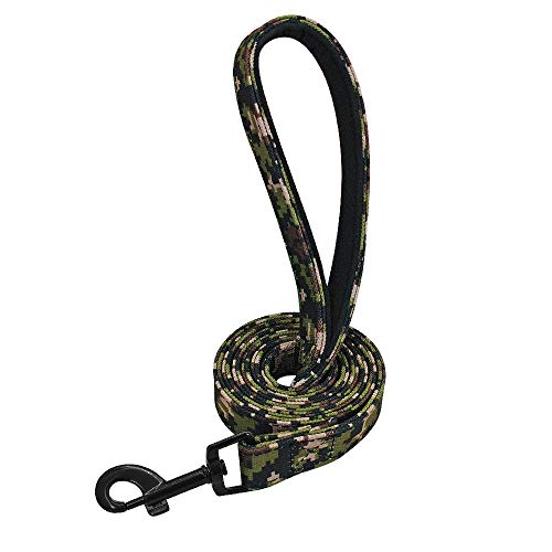 LSHMSN Correa De Perro, Pet por Puppy Dog Perro CORRECCIÓN CORRECCIÓN Correa DE CURENAMIENTO RODANDO ROANBOW REFERIOR para PEQUEÑOS Perros Medios Medios,C,2cm*120cm