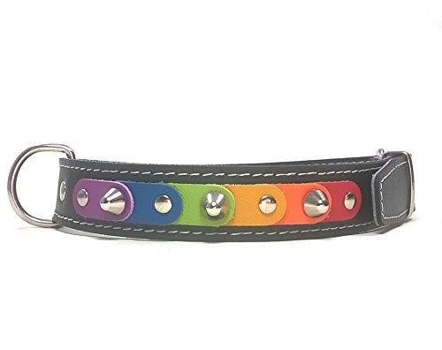 Collar de Cuero para Perro Pequeño y Chihuahua, Mediano o Grande, Diseño Original Hecho a Mano, Orgullo Gay de Colores Arcoíris y Pinchos, Interior Cómodo, Disponible con Correa a Juego