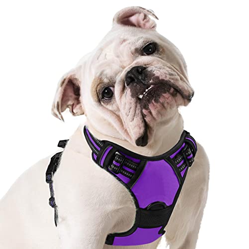 Eagloo Arnes de Perro Antitirones Cómodo Chaleco Ajustable Correa al Cuello y Pecho para Perros Pequeños Material Duradero Transpirable con Cinta Reflectante Adaptarse a Ejercer Externo M/Púrpura