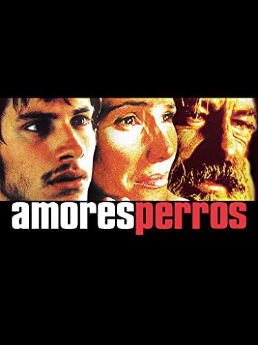 Amores Perros