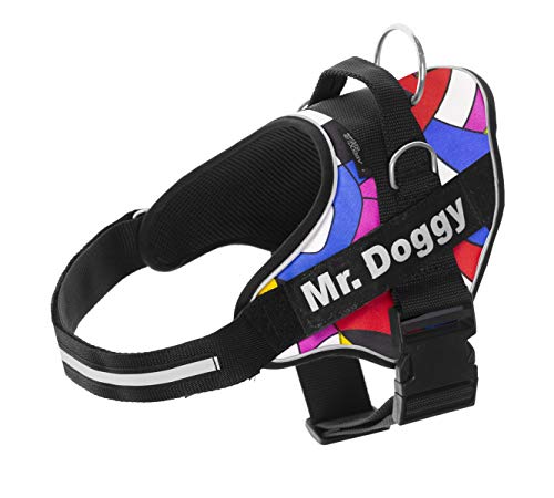 Arnés Personalizado para Perros - Estampado - Reflectante - Incluye 2 Etiquetas Personalizables con Nombre - Todos los Tamaños (XS 3-7KG, Estampado)