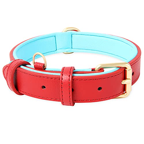 HEELE Collar Perro, Collar de Perro Acolchado de Cuero, Tacto Suave de Piel Auténtica, Ajustable, Perros Pequeños, Medianos, Rojo, S