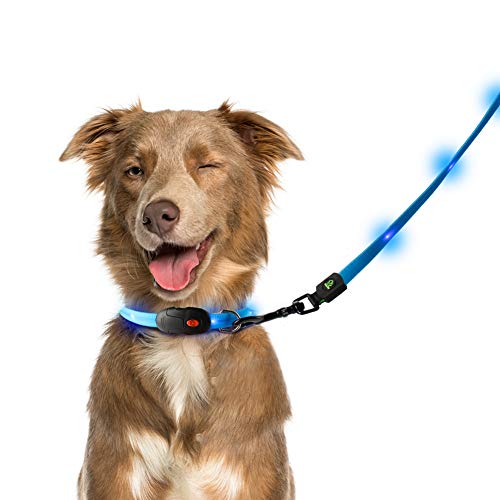 NAMSAN Correa LED para perros con collar de perro recargable por USB, resistente al agua, seguridad, 3 modos de luz, 20 luces (azul)