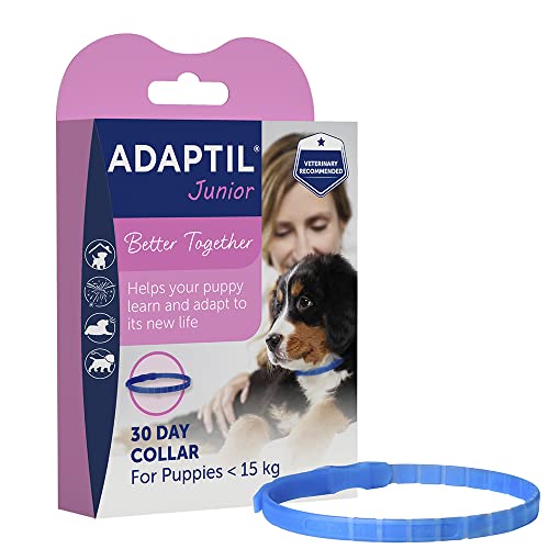 ADAPTIL Collar Ajustable para Cachorros, Probado para Ayudar a Reducir el llanto Nocturno, Comodidad Cuando se Deja Solo en casa, Entrenamiento y socilización, Cachorro