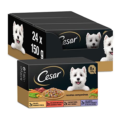 Cesar Comida Húmeda para Perros, Selección Recetas Campesinas en Salsa, Multipack (Pack de 3 x 8 Tarrinas x 150g)