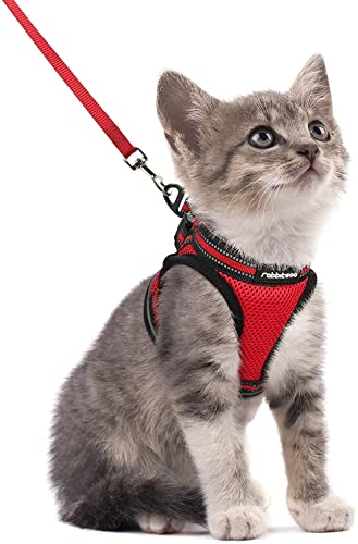 rabbitgoo Arnes Gatos y Correa 150cm Chaleco Ajustable Antitirones Reflectante Cómodo Correa Mágica para Fácil de Poner y Quitar para Paseo Diario Arnes para Perro Pequeño Conejos Gatos S Rojo