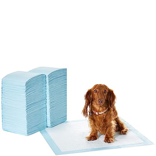 Amazon Basics Almohadillas de adiestramiento de perros y cachorros, diseño de 5 capas a prueba de fugas con superficie de secado rápido, regular, 56 x 56 cm, 150 unidades, Azul