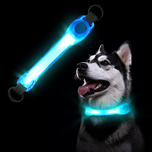 Flintronic Collar Luminoso Perro de Mascota, Tira de Luz LED de Seguridad para Mascotas,Tira de Luz Impermeable, Sujetar Fácilmente a la Correa de la Mascota, Ajustable Collares LED para Perros-Azul