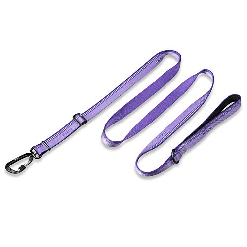 Correa Reflectante Segura de Hyhug Pets 3M - Correa de Nailon de Tejido Jacquard Resistente y Moderno para Perros Grandes medianos Que Caminan de Uso Diario. (Correa de 180cm, Ultra Violeta)