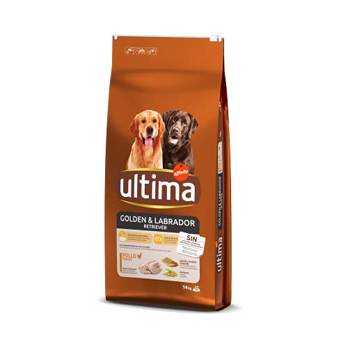 Ultima Pienso para Perros Golden y Labrador Retriever con Pollo - 14 kg