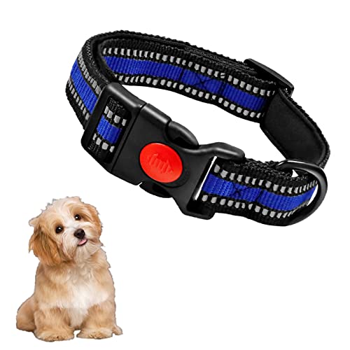 Collar Perro, Collar Nylon Reflectante Neopreno Forrado Ajustable para Perros Pequeños (S, Azul)