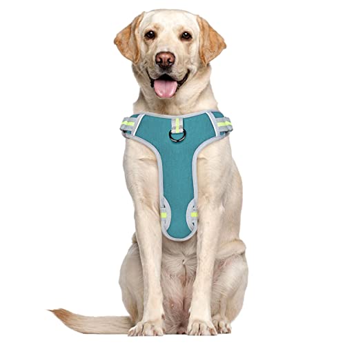 BTNEEU Arnes Perro Antitirones Arnes Perro Grande Mediano Transpirable Arnés Pecho Perros Coche con Control de Manija y Linea Reflectante Ajustable Cómodo Acolchado Arnes Chaleco Perro (XL, Cían)