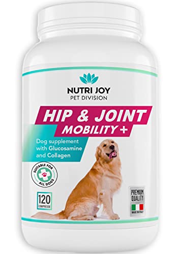 NutriJoy Suplementos para Perros Mobility + - Suplementos para Mascotas - Condroprotector Perros para Articulaciones - Curcuma para Mascotas - Tabletas Masticable