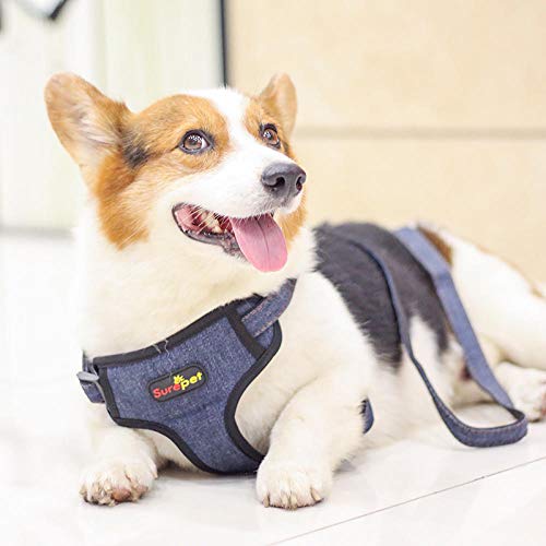 Moda Conjunto De Correa Y Correa para Perros Anti-Descanso Chaleco para Paseador De Perros Ajustable Arnés para Perros Accesorio-Negro _XL. Correa Perro Coche Arnés Perro Mediano