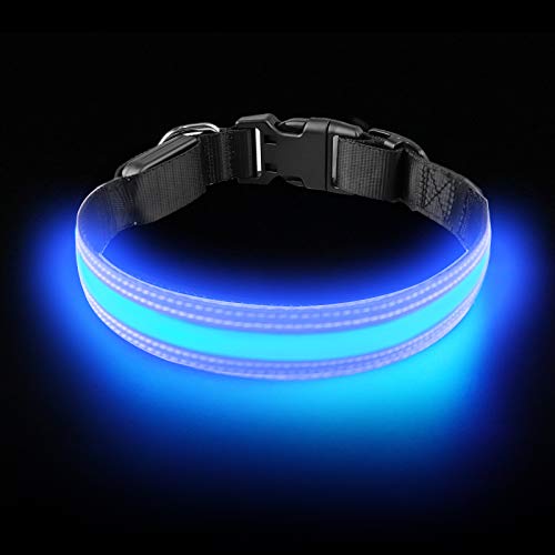 PetIsay LED Collar para Perros, Super Brillante con luz LED Recargable por USB, Collar de Perro Iluminado para Seguridad Nocturna, Resistente al Agua, Tamaños Ajustables(Azul, M)