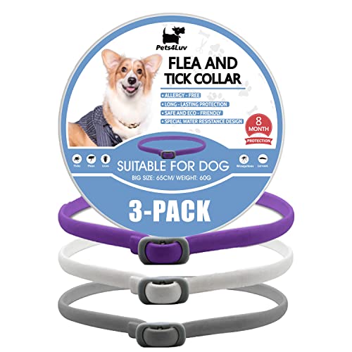 Pets4Luv Collar antipulgas para Perros, Collares Naturales contra pulgas y garrapatas para Perros, protección de 8 Meses, Talla única para Todos los Perros, diseño Impermeable Ajustable, 3 Piezas