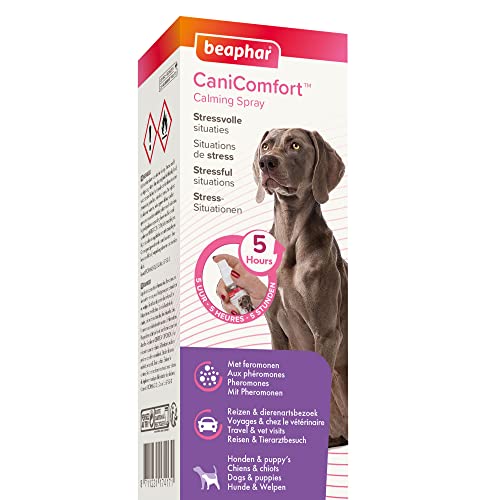 Beaphar CaniComfort Spray Antiestres para Perros 60ml, Antiestres con Feromonas para Perros, Reduce Estrés y Ansiedad, Miedos, Viajes, Visitas al Veterinario, Mordeduras, Ladridos, Lloros, 60ml