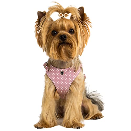 BECHIVA Cherry Soft - Arnés de piel auténtica para perros pequeños, gatos, mascotas, Chihuahua, Yorkshire Terrier, etc, lujo, hecho a mano en Europa, color rosa POIS, tallas S-L, peso ligero (mediano)