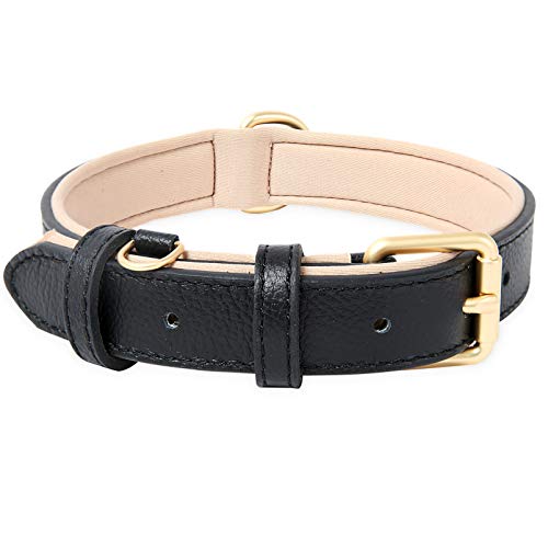 HEELE Collar Perro, Collar de Perro Acolchado de Cuero, Tacto Suave de Piel Auténtica, Ajustable, Perros Pequeños, Medianos, Negro, S