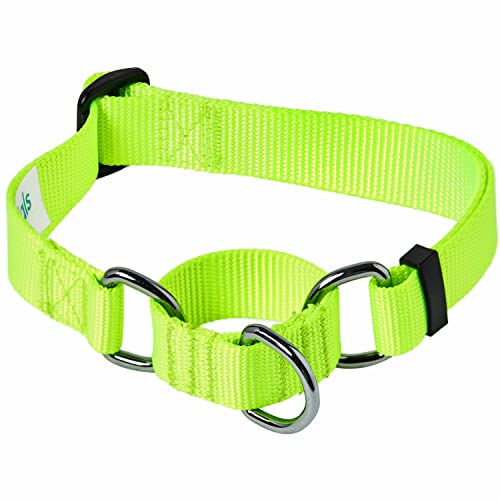 Blueberry Pet Essentials Martingale - Collar de perro de entrenamiento de seguridad, color amarillo resaltador, grande, collares ajustables de nailon resistente para perros