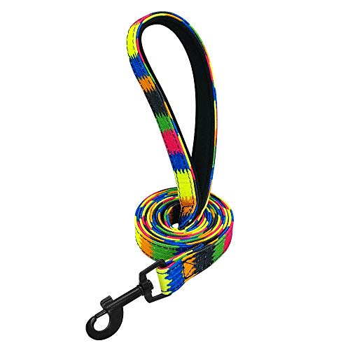 LSHMSN Correa De Perro, Pet por Puppy Dog Perro CORRECCIÓN CORRECCIÓN Correa DE CURENAMIENTO RODANDO ROANBOW REFERIOR para PEQUEÑOS Perros Medios Medios,E,2cm*120cm