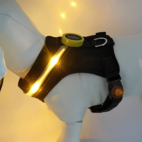 SELOY Arnés Perro Luminoso, Luces Leds, Seguro, cómodo, Transpirable y Ajustable (Amarillo, XL)