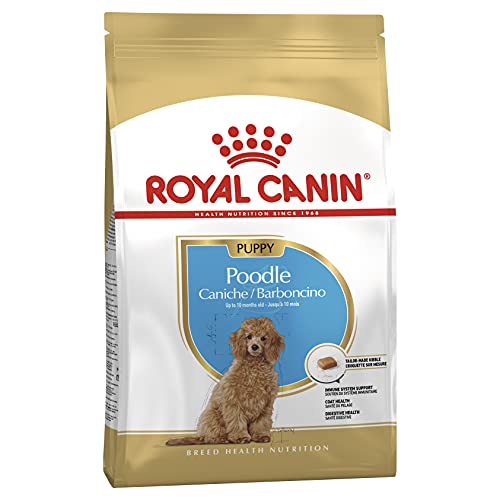 ROYAL CANIN BHN Caniche Puppy 3000 g