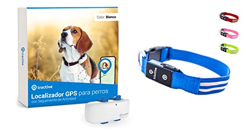 Tractive - GPS para perros + collar LED, Localización en tiempo real con distancia ilimitada (azul, M)