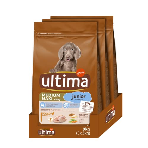 ultima Pienso para Perro Medium - Maxi Junior con Pollo, Pack de 3 x 3 kg - Total 9 kg