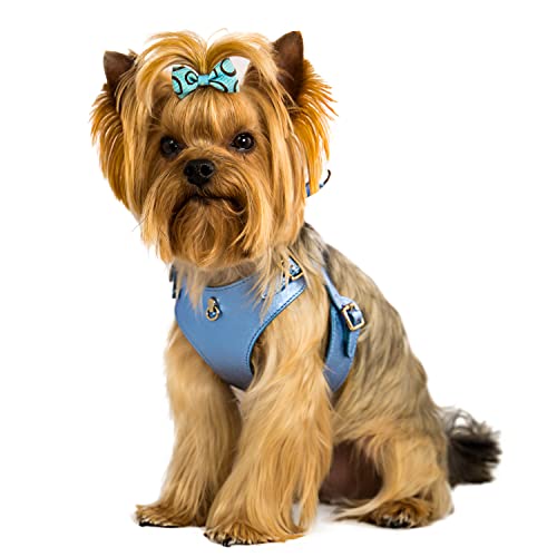 BECHIVA Tino - Arnés de piel auténtica suave para perros pequeños/gatos/mascotas Chihuahua, Yorkshire Terrier, etc., de lujo, hecho a mano en Europa, color azul claro, tallas S-L, peso pequeño