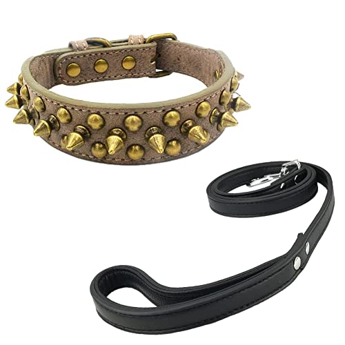 Newtensina Retro Bronce Tachonado Perro Collar y Correa Perrito Collar con Remaches para Pequeño Perros Medio Perros