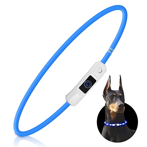 Nobleza - Collar Luminoso Perro de Seguridad Personalizado, 3 Modos Collar Luz Perro con USB Recargable, Ajustable Impermeable Collares LED para Perros Pequeños/Medianos/Grandes(Azul)