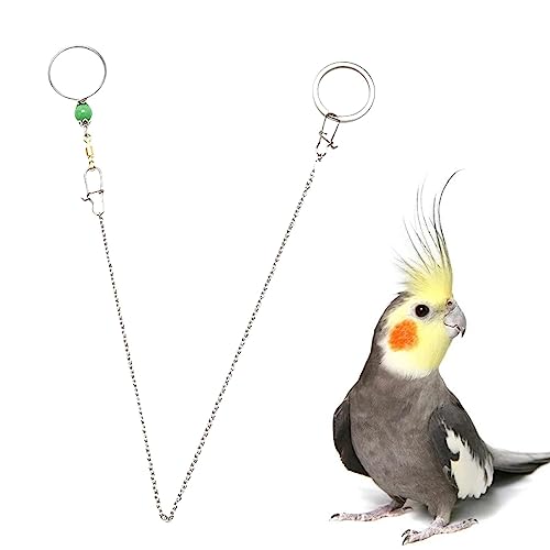 Correa de Cadena para pájaros | Collar de Cuello de pájaro Inoxidable,Cadena de Cuello de diseño de Hebilla de Seguridad Ajustable para Evitar Que el Loro se pierda Firulab