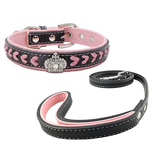 Newtensina Moda Perro Collar y Correa Conjunto Correas de Nylon Tejidas Collar de Bling Collar de Cuero Diamante Cachorro con Correa para Perros