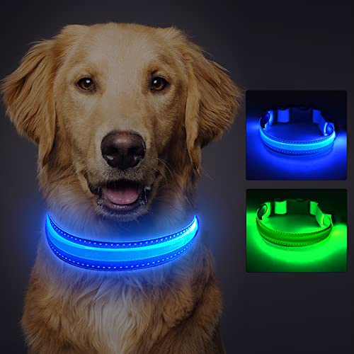 Idota Collar LED para perro recargable USB collar luminoso para perro con 3 modos de iluminación ajustable impermeable para perros medianos grandes - Azul