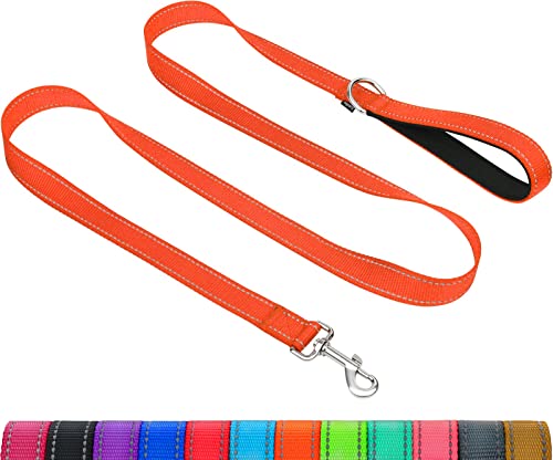 Taglory Correa Perro Reflectante, Mango Acolchado Suave y Gancho de Metal, Correas Adiestramiento para Perros Pequeño, 1.2m x 2.0cm, Naranja