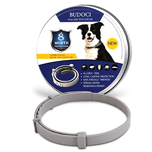 OLNID - Collar Antiparasitario y Antipulgas para Perros, Protección Duradera de 8 Meses, Ingredientes Naturales, Resistente al Agua, Ajustable - para Perros Medianos y Grandes