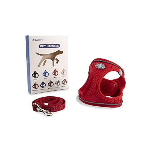 Arnés para Perros Pequeños y Medianos, con Correa de 1,4 m, Reflectante, Transpirable, M, Rojo