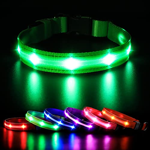 MASBRILL Collar LED Perro, Collar para Perro Luminoso Recargable y Impermeable, 3 Modos de Iluminación led y Tamaño Ajustable para Perros Pequeños Medianos Grandes(Verde M)