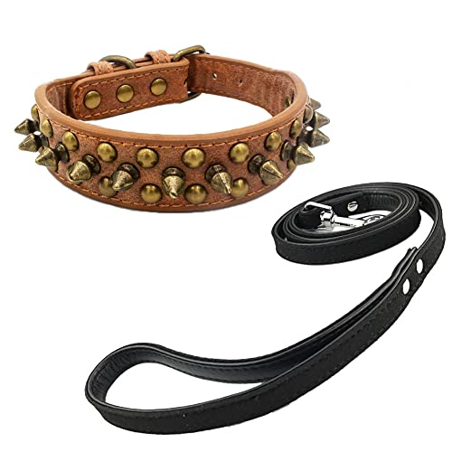 Newtensina Retro Bronce Tachonado Perro Collar y Correa Perrito Collar con Remaches para Pequeño Perros